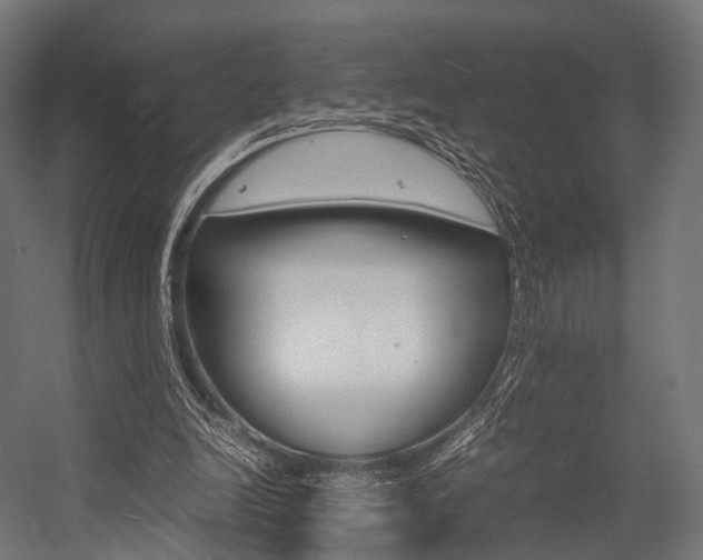 X0000054470246200507291055