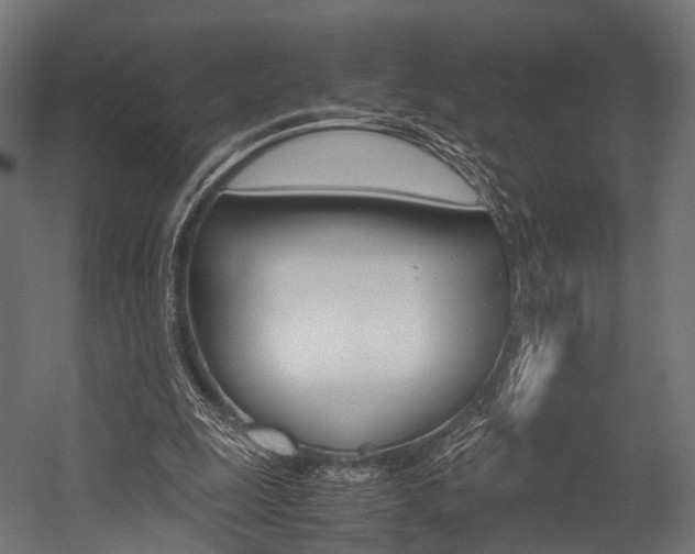 X0000054470247200507291055