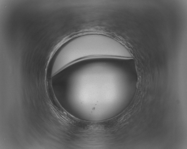 X0000054470248200507291055