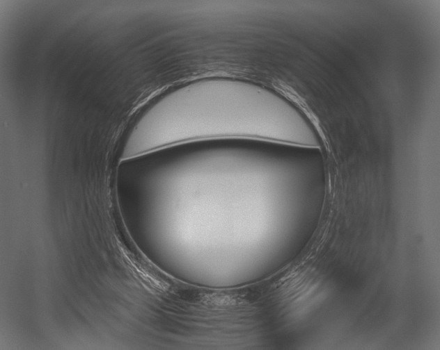 X0000054470249200507291055
