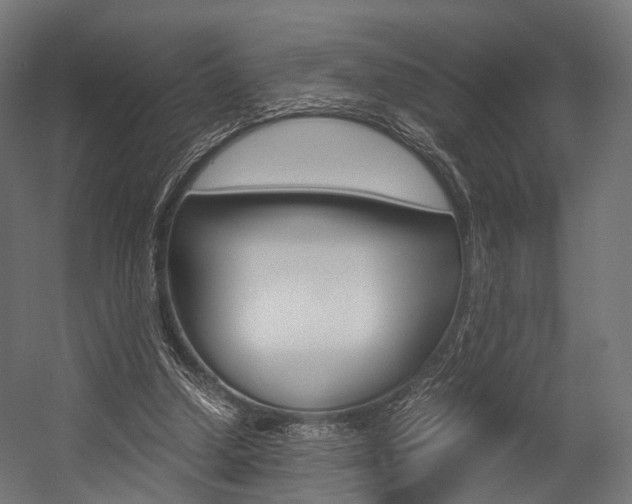 X0000054470250200507291055