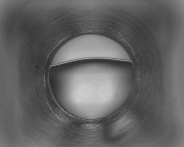 X0000054470251200507291055