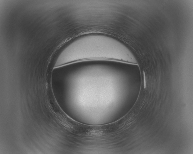 X0000054470252200507291055
