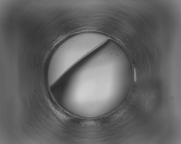 X0000054470253200507291055