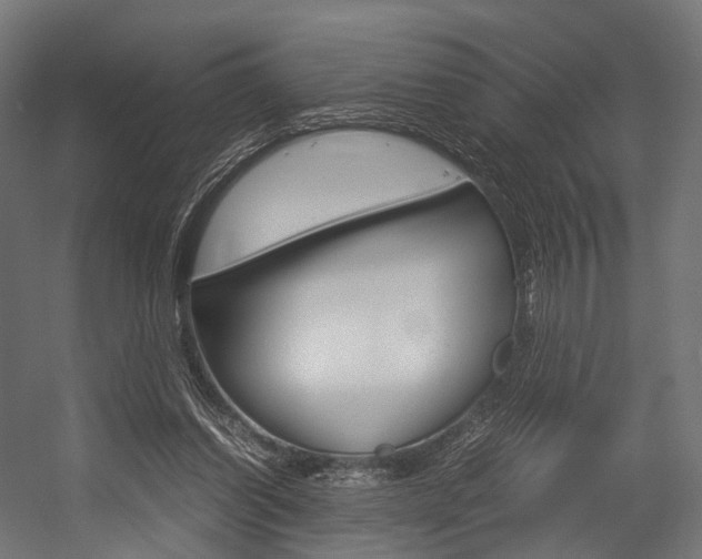 X0000054470254200507291055