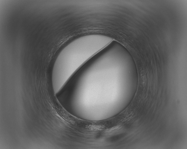 X0000054470255200507291055