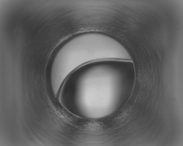 X0000054470256200507291055