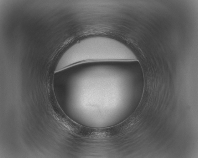 X0000054470260200507291055