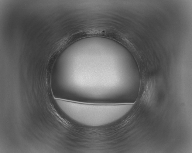 X0000054470261200507291055