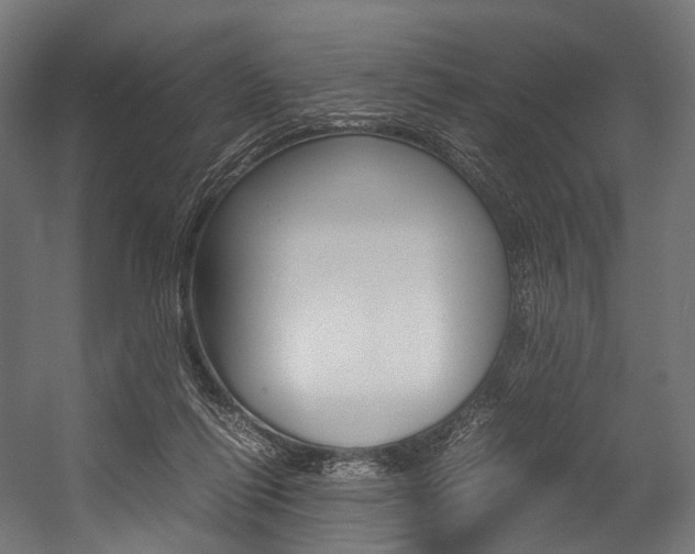 X0000054470262200507291055