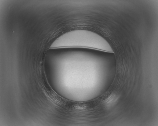 X0000054470263200507291055