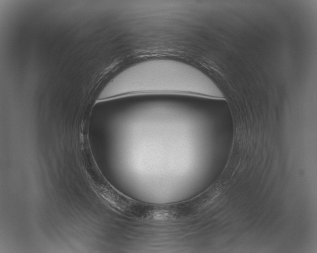 X0000054470264200507291055