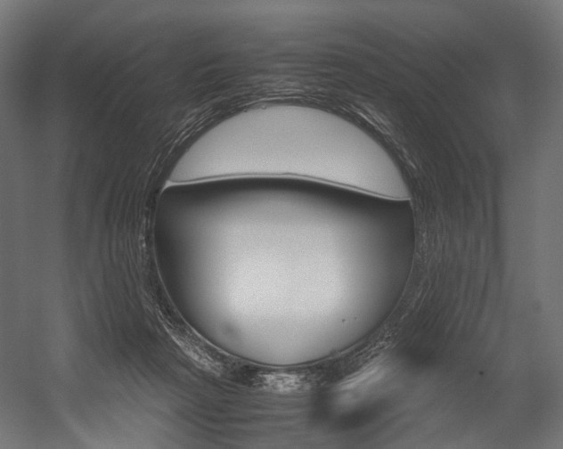 X0000054470265200507291055