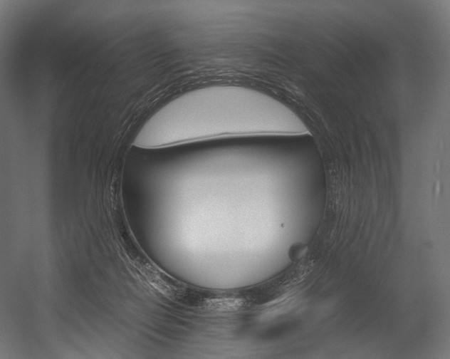 X0000054470266200507291055