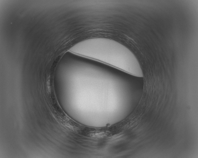 X0000054470267200507291055
