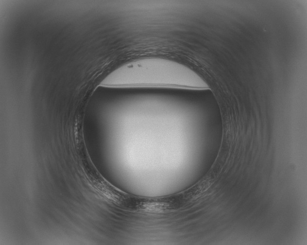 X0000054470268200507291055