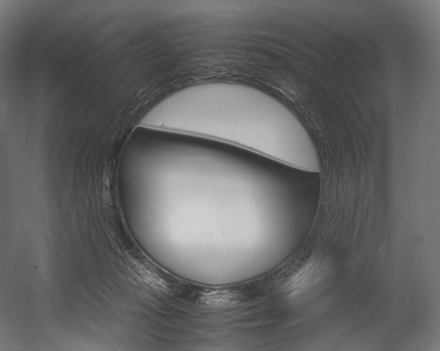 X0000054470269200507291055