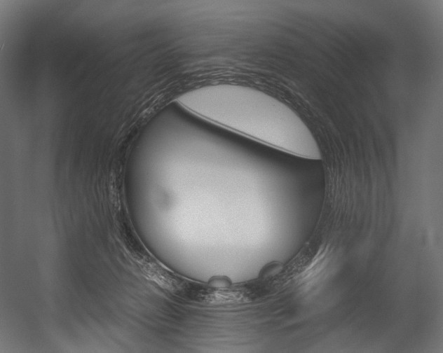X0000054470270200507291055