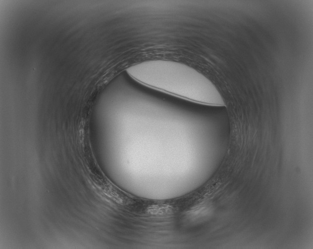 X0000054470271200507291055