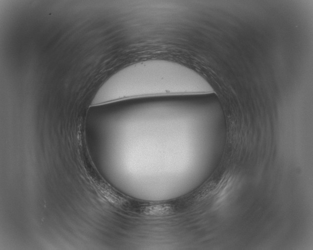 X0000054470274200507291055