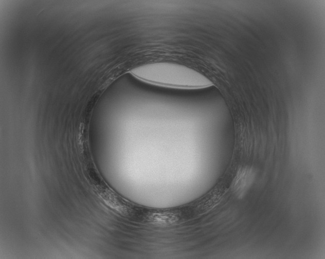 X0000054470275200507291055