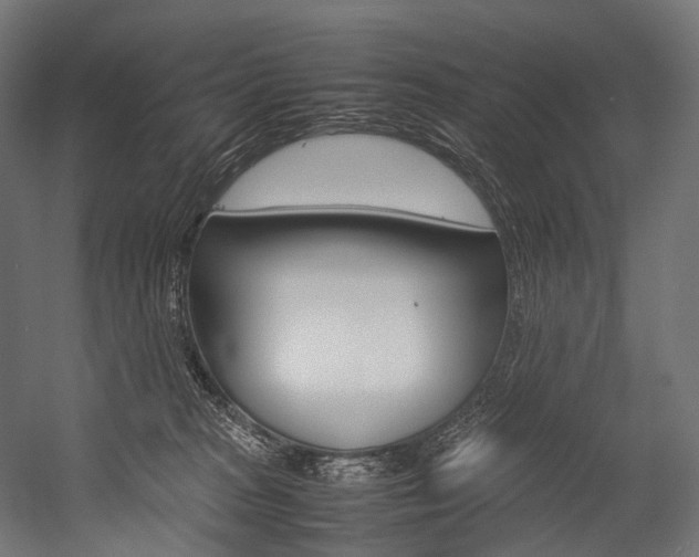 X0000054470277200507291055