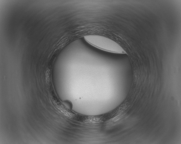 X0000054470278200507291055