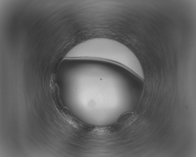 X0000054470280200507291055