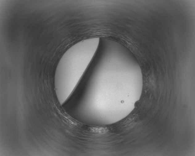 X0000054470281200507291055