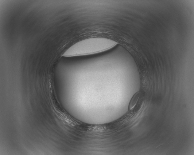 X0000054470282200507291055