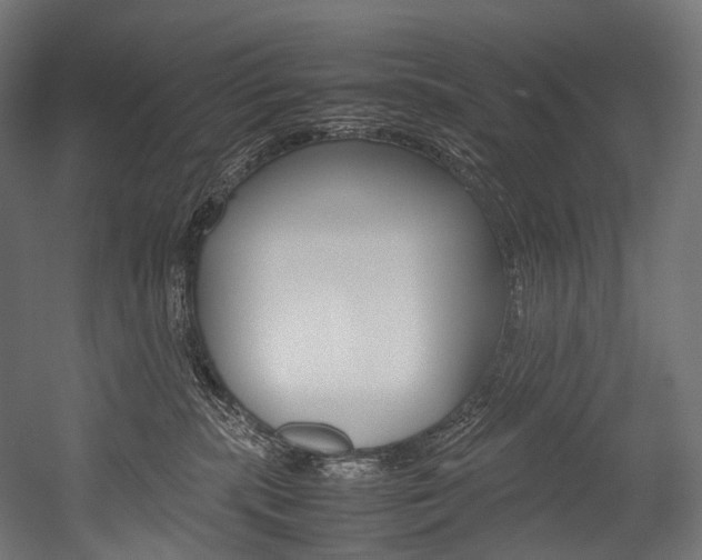 X0000054470283200507291055