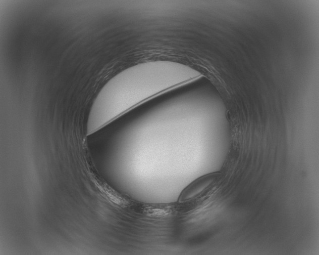 X0000054470285200507291055