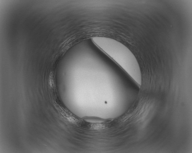 X0000054470287200507291055