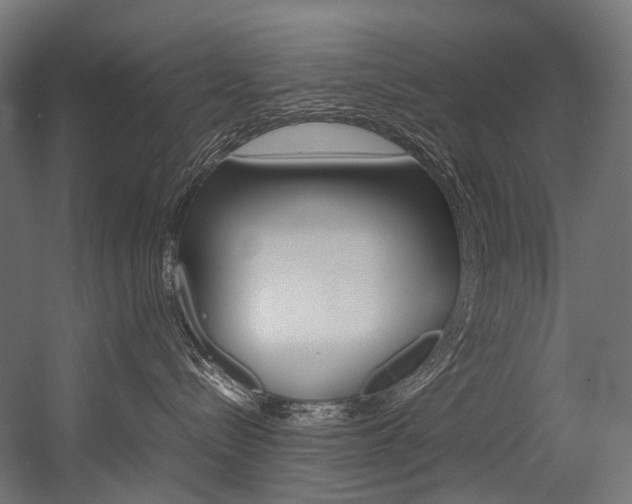 X0000054470288200507291055