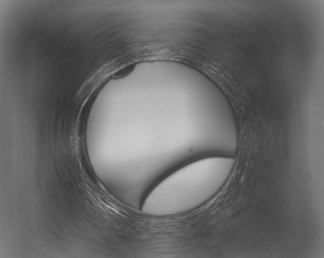 X0000054470290200507291055