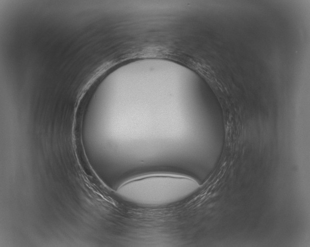 X0000054470292200507291055