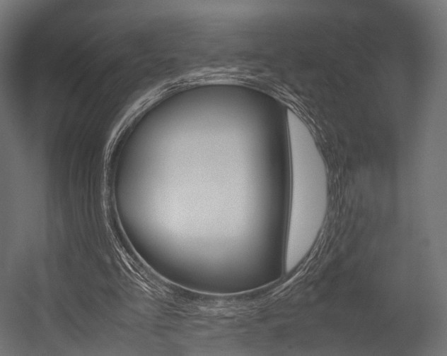 X0000054470293200507291054