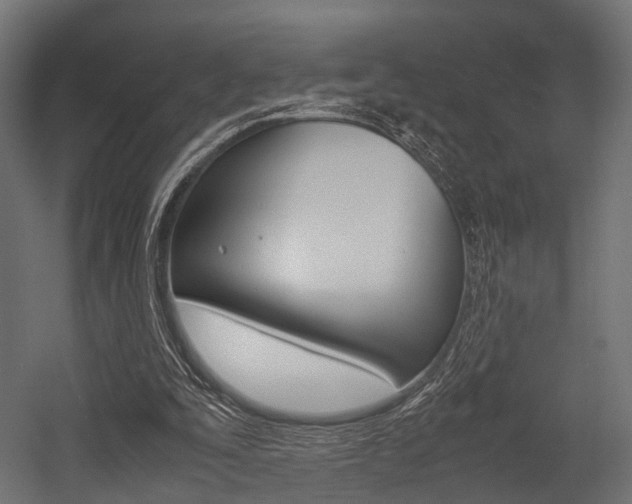 X0000054470295200507291054