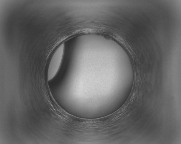 X0000054470297200507291054
