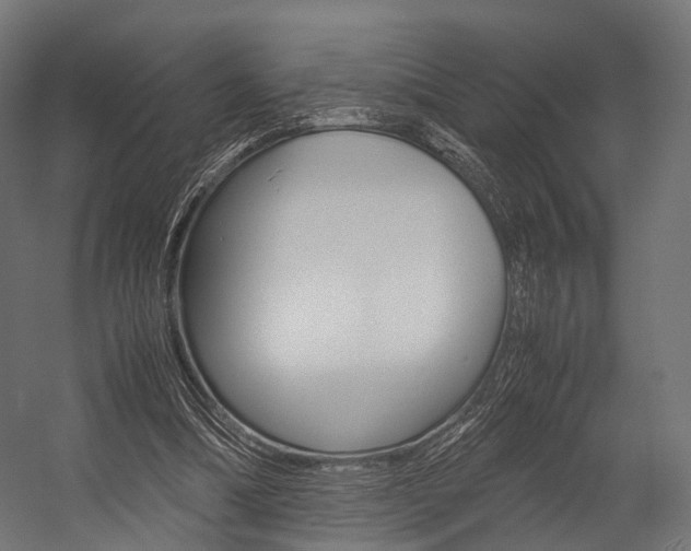 X0000054470298200507291054