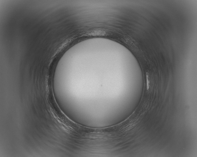 X0000054470300200507291054