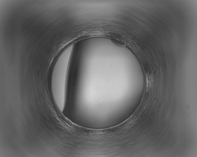 X0000054470301200507291054
