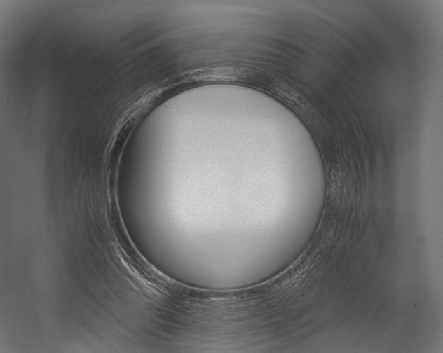 X0000054470302200507291054