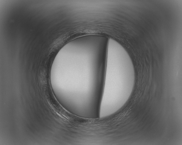 X0000054470303200507291054