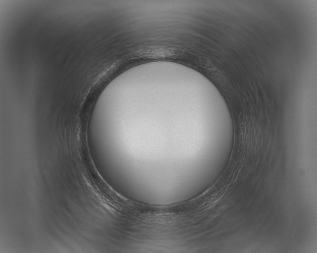 X0000054470304200507291054
