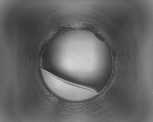 X0000054470305200507291054