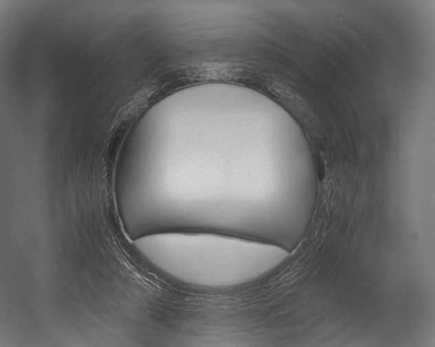 X0000054470306200507291054