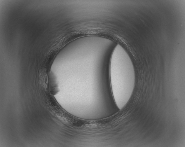 X0000054470307200507291054