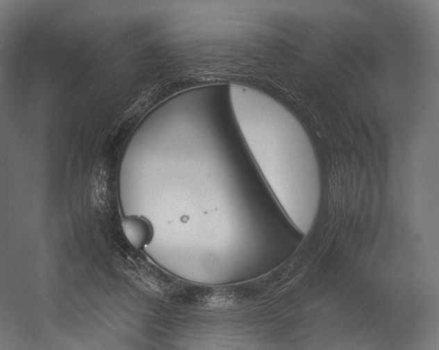X0000054470308200507291054