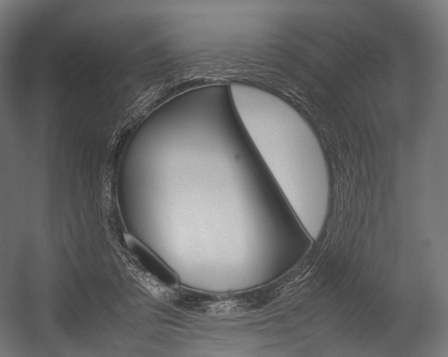 X0000054470309200507291054